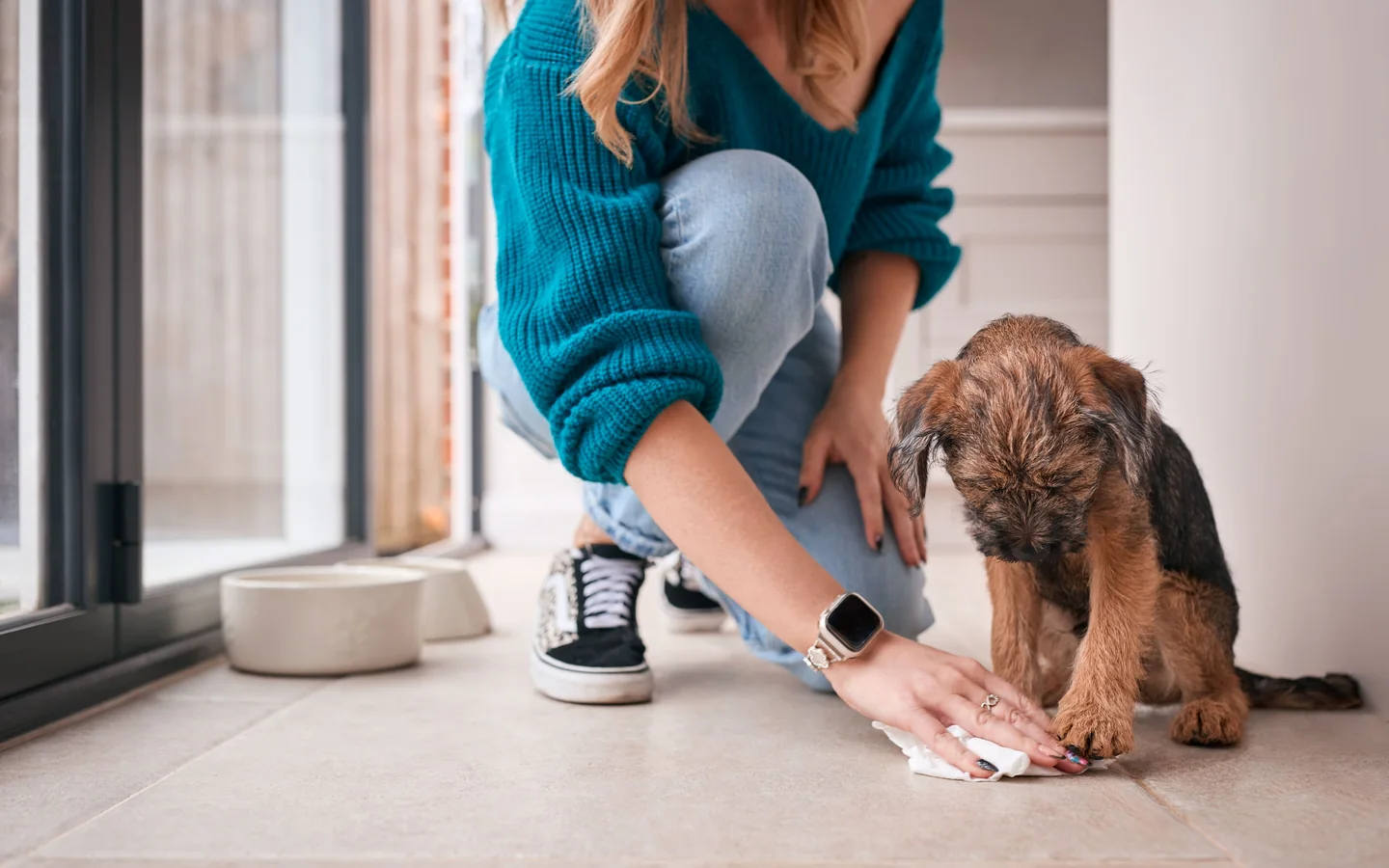 Köpek Tuvalet Eğitimi hizmeti